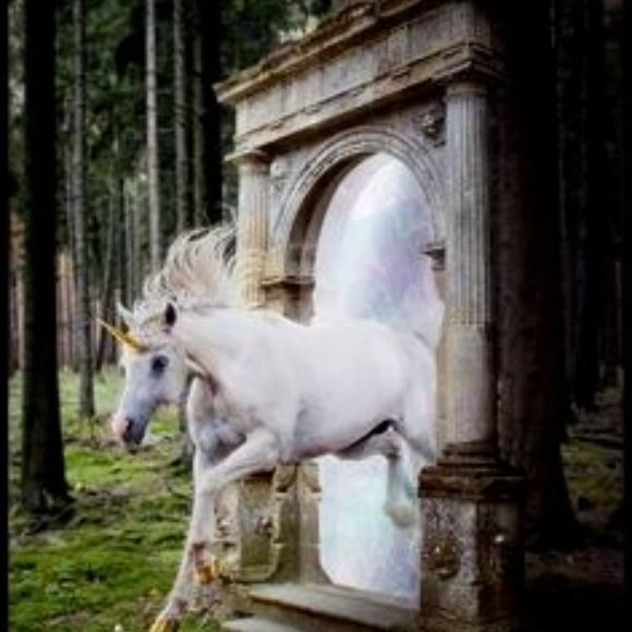 Its Meee, Minty! 😎 (AnnaBella)~ Your Posher, Seller and Buyer - Picture 6 of 14